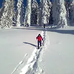Dom wakacyjny Knoedl-alm Waldhaeusl Bad Mitterndorf