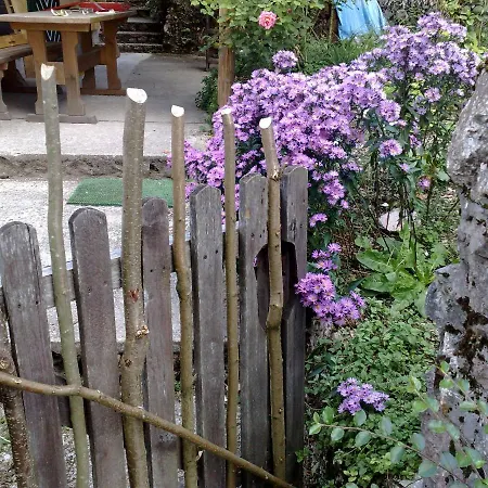 Knoedl-alm Waldhaeusl