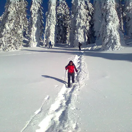 Сasa de vacaciones Knoedl-alm Waldhaeusl Bad Mitterndorf