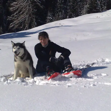 Knoedl-alm Waldhaeusl