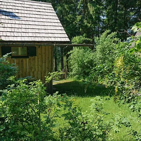 Knoedl-alm Waldhaeusl Casa vacanze Bad Mitterndorf