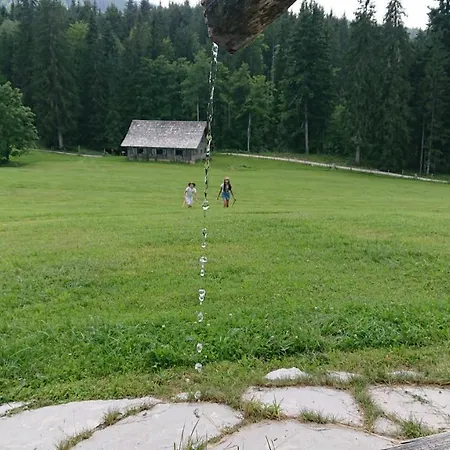 Knoedl-alm Waldhaeusl Bad Mitterndorf