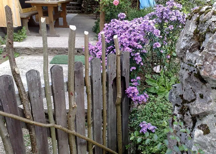 Knoedl-alm Waldhaeusl