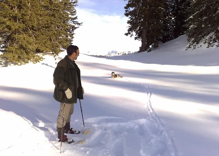 بيت للعطل Knoedl-alm Waldhaeusl