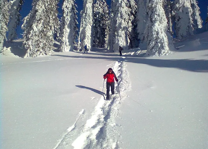 بيت للعطل Knoedl-alm Waldhaeusl باد ميترندورف