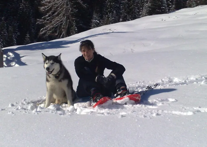 Knoedl-alm Waldhaeusl